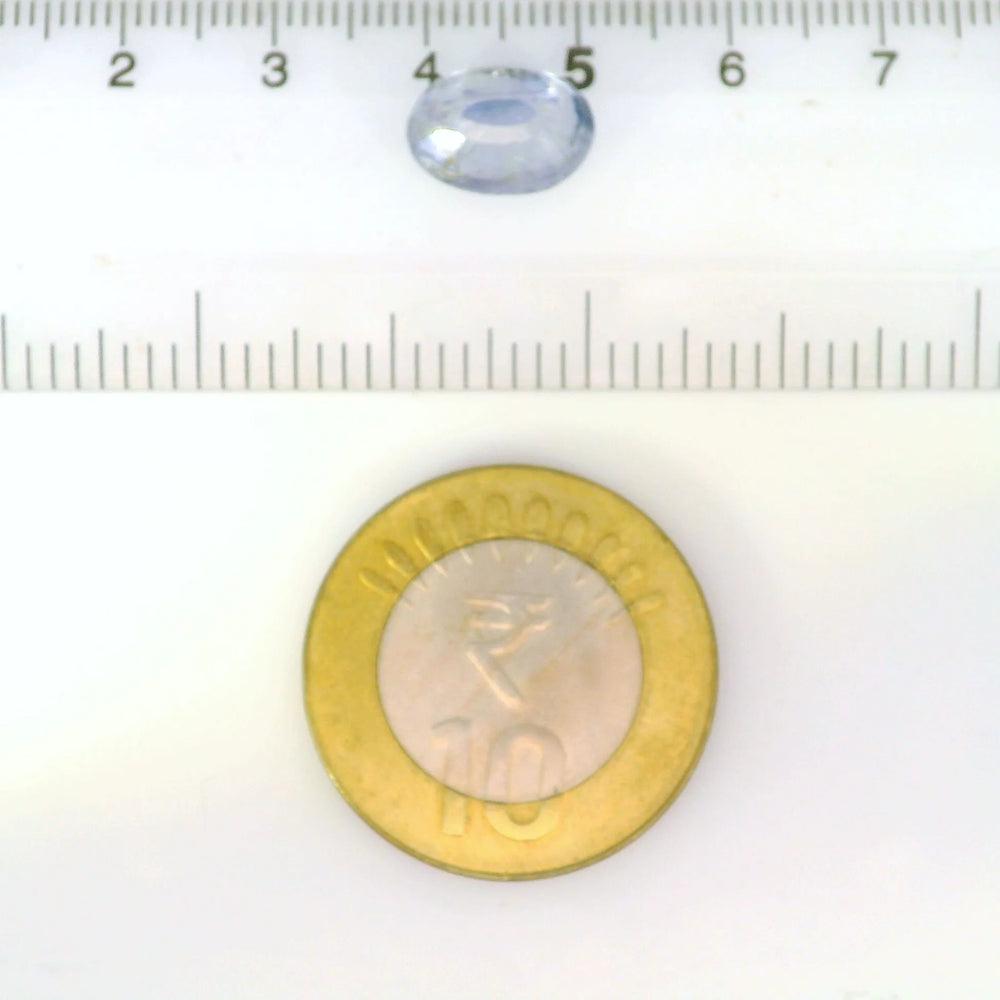 IGITL_211981_SCALE.webp