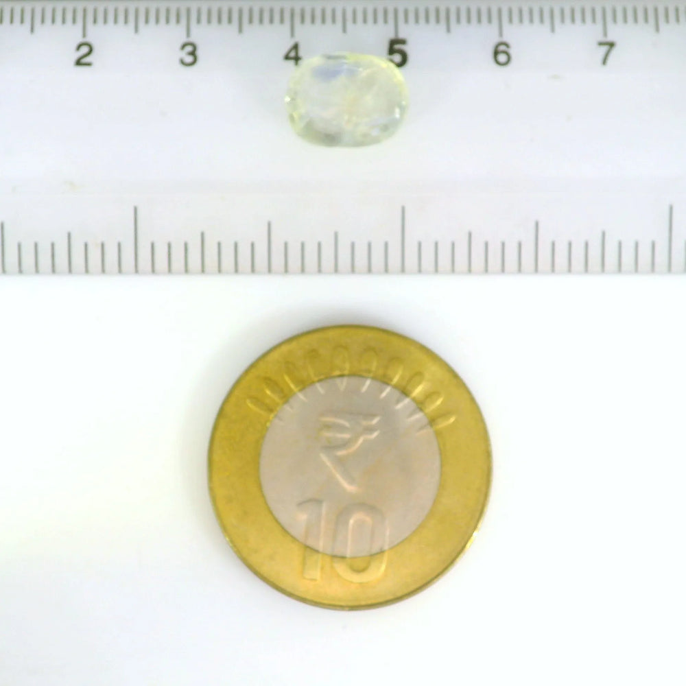IGITL_211983_SCALE.webp