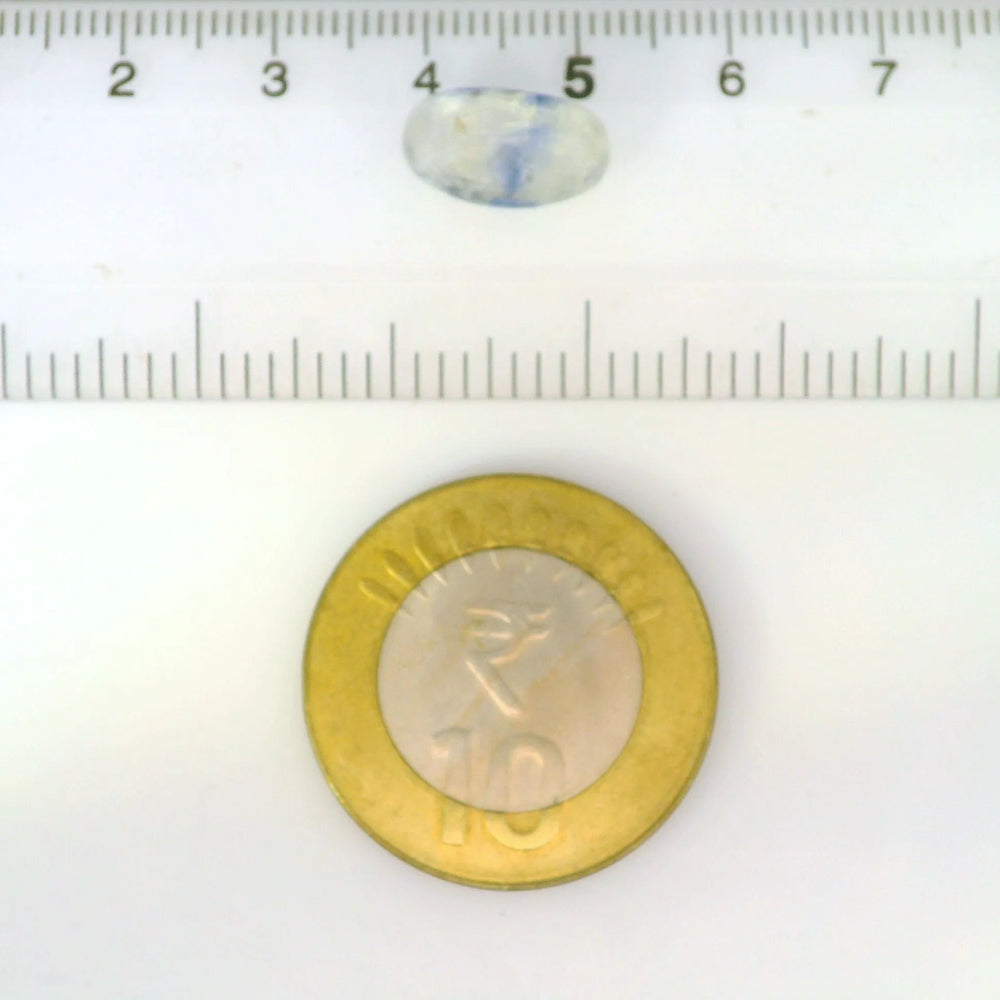 IGITL_211984_SCALE.webp