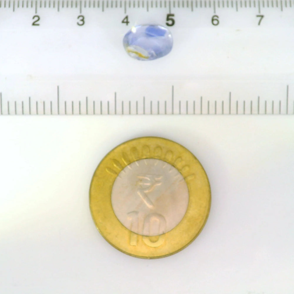 IGITL_211985_SCALE.webp
