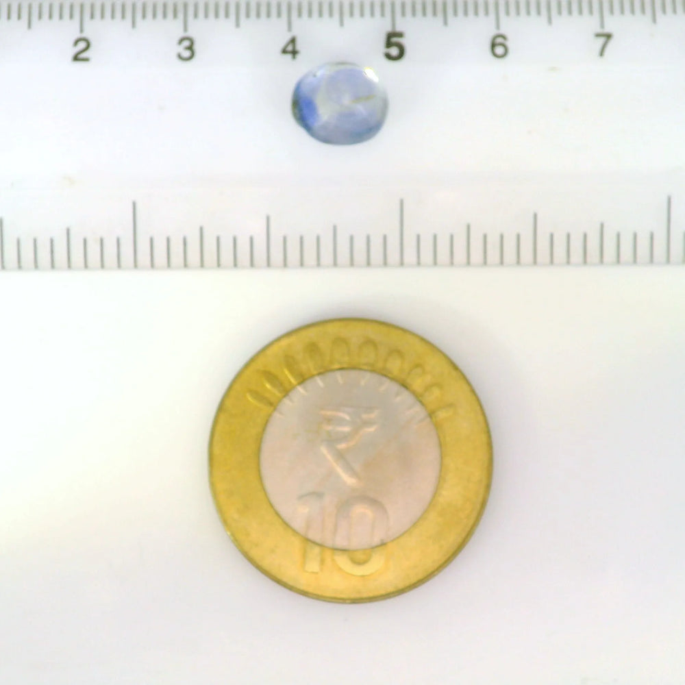 IGITL_211987_SCALE.webp