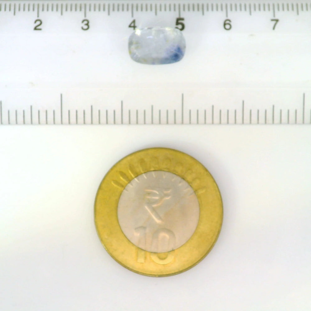 IGITL_211988_SCALE.webp