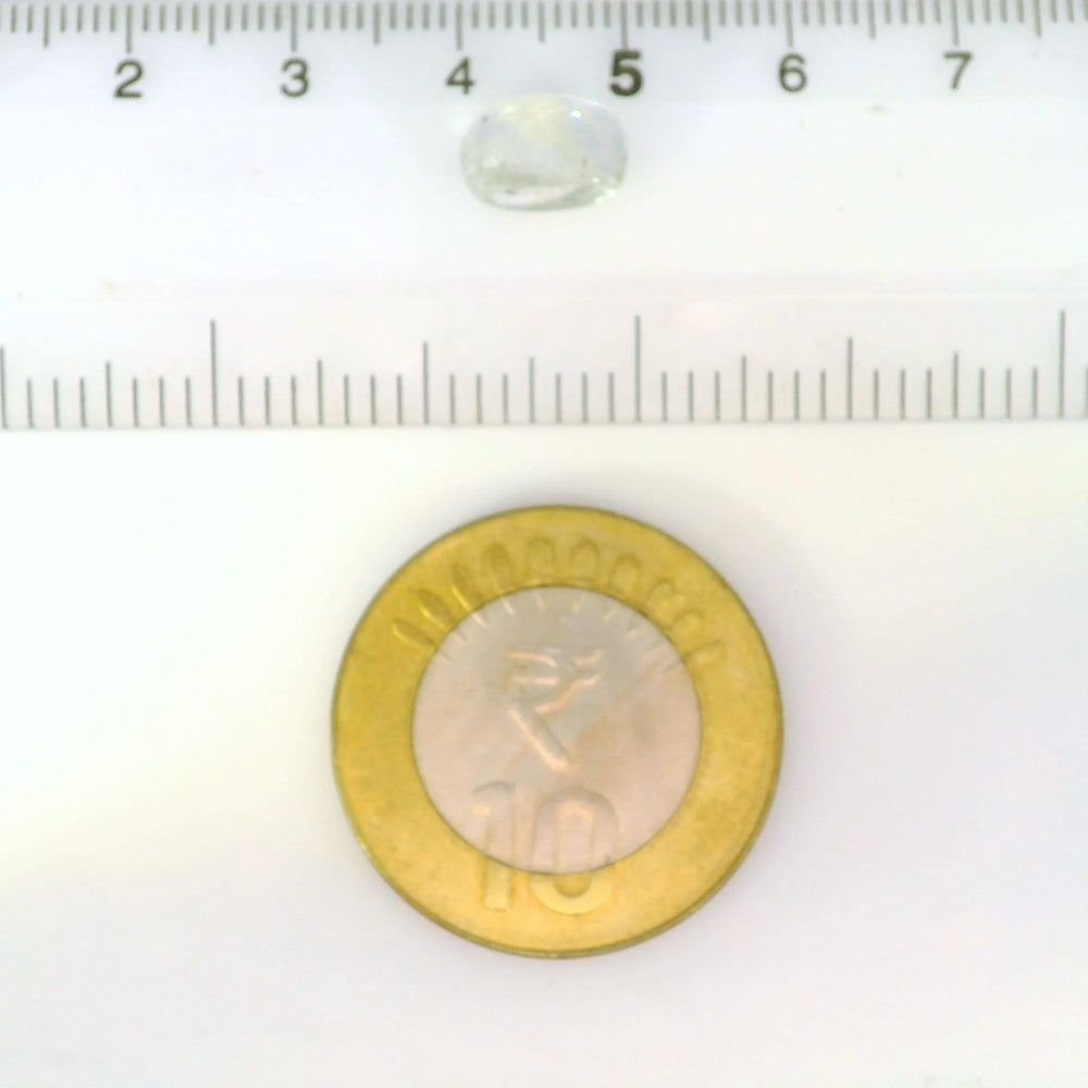 IGITL_211989_SCALE.webp