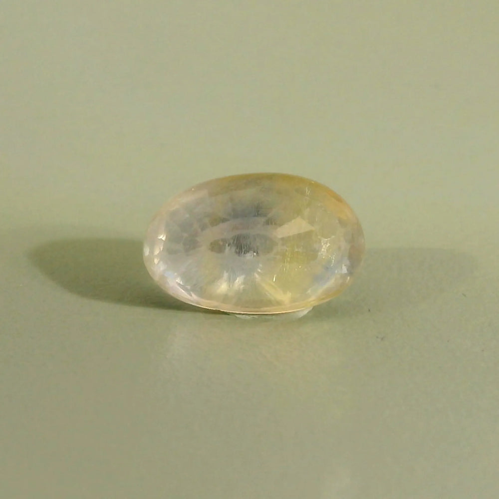 IGITL_211992_BACK.webp