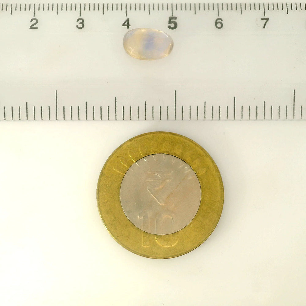 IGITL_211992_SCALE.webp