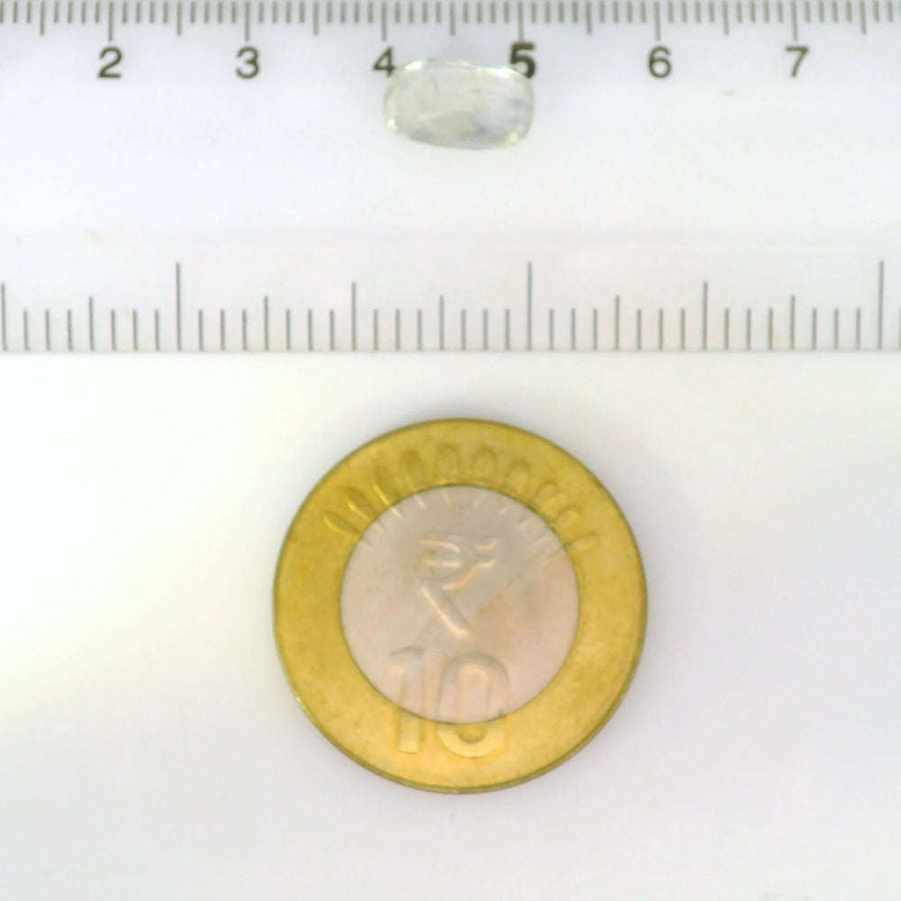 IGITL_211998_SCALE.webp