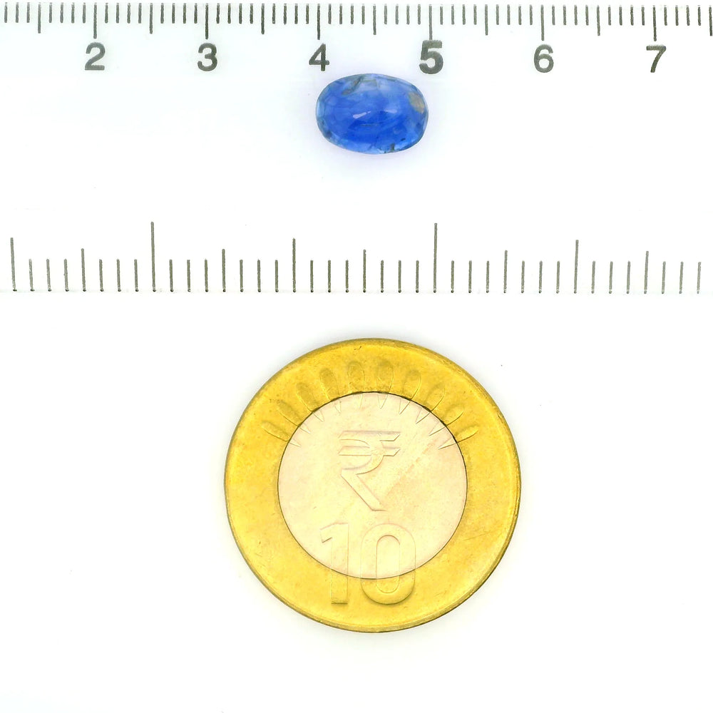 IGITL_212017_SCALE.webp