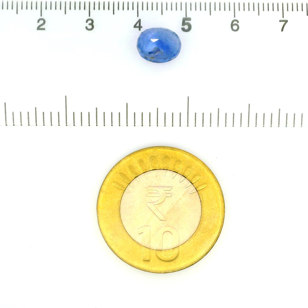 IGITL_212019_SCALE.webp