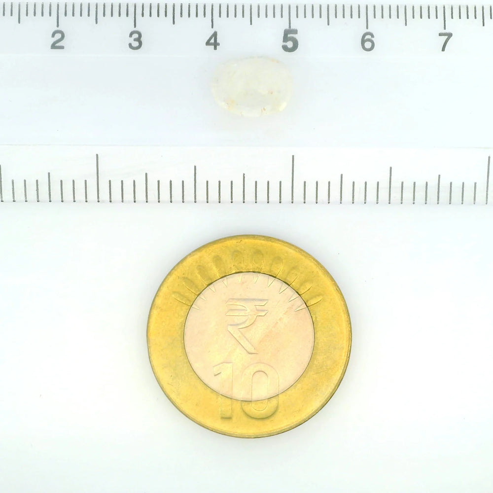 IGITL_212059_SCALE.webp