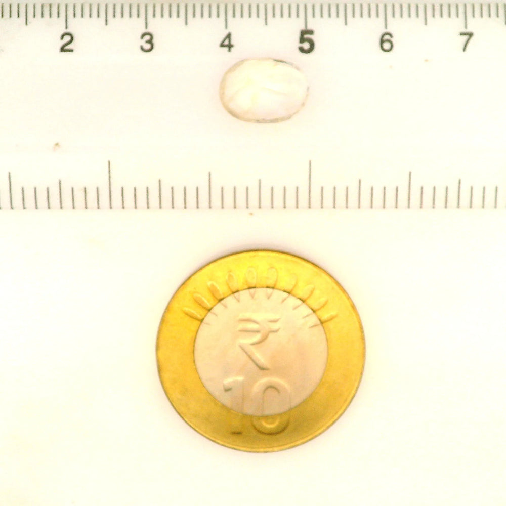 IGITL_212066_SCALE.webp