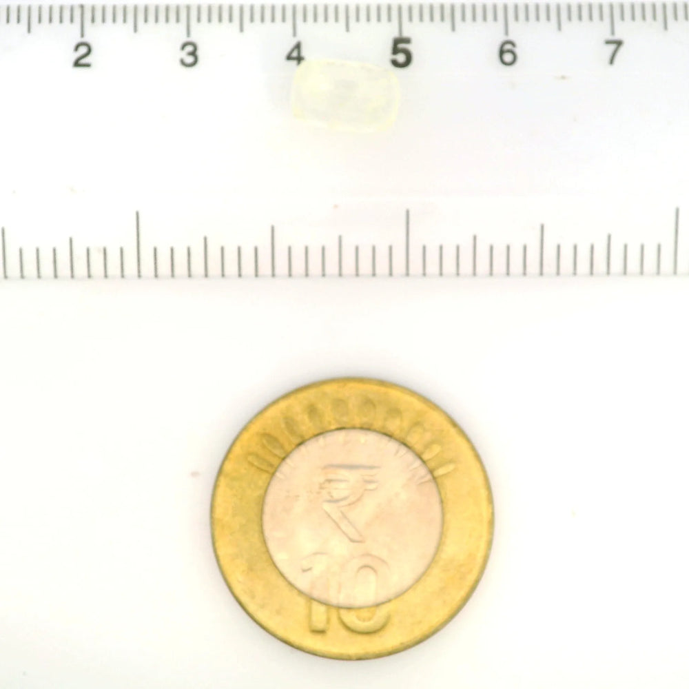 IGITL_212071_SCALE.webp