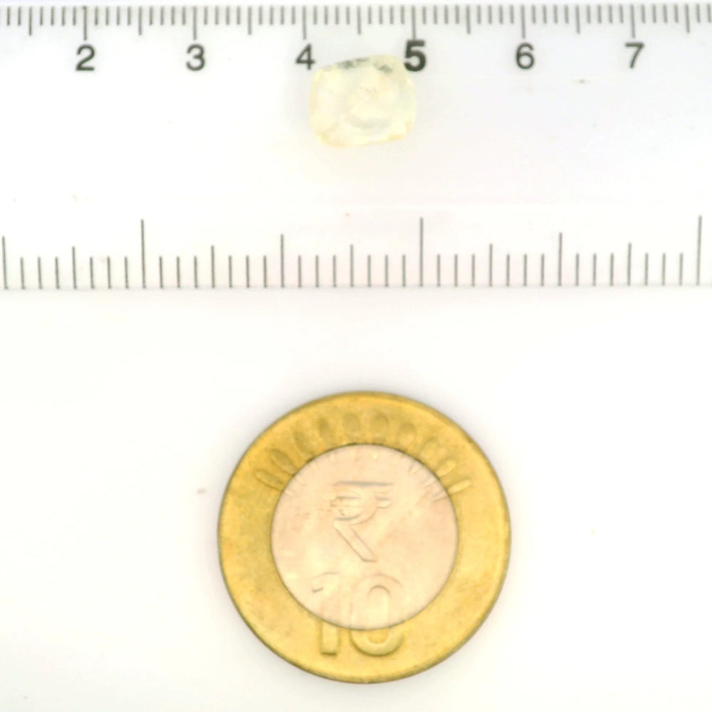 IGITL_212074_SCALE.webp