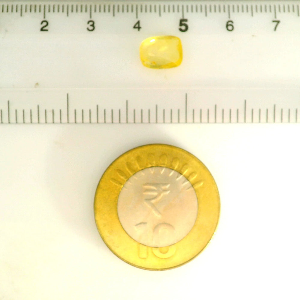 IGITL_212085_SCALE.webp