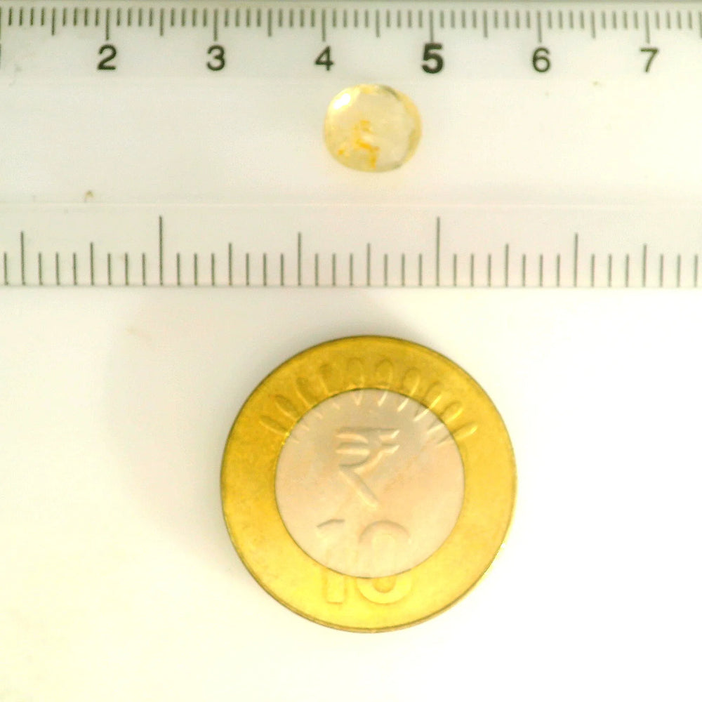 IGITL_212088_SCALE.webp