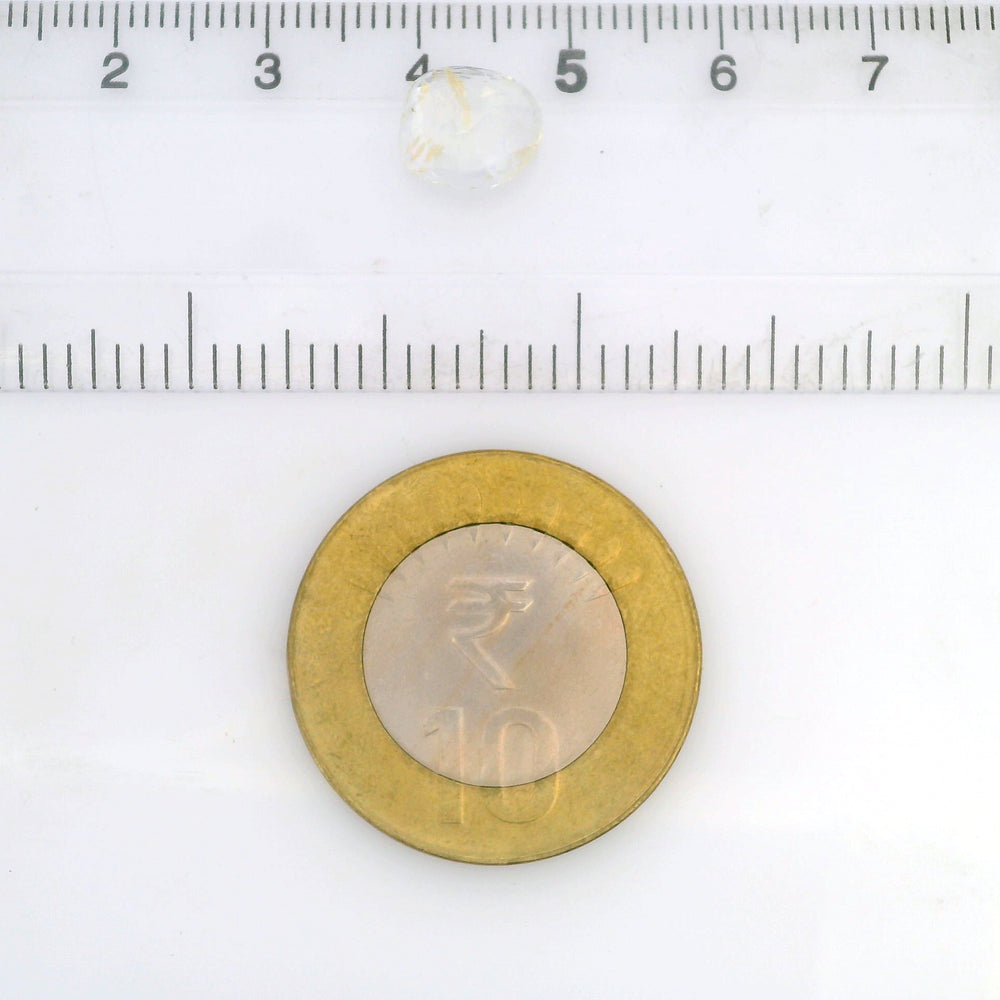 IGITL_212091_SCALE.jpg