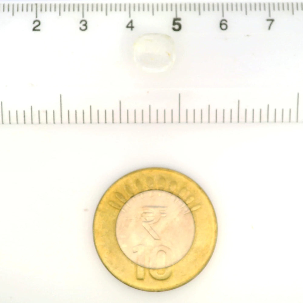 IGITL_212094_SCALE.webp