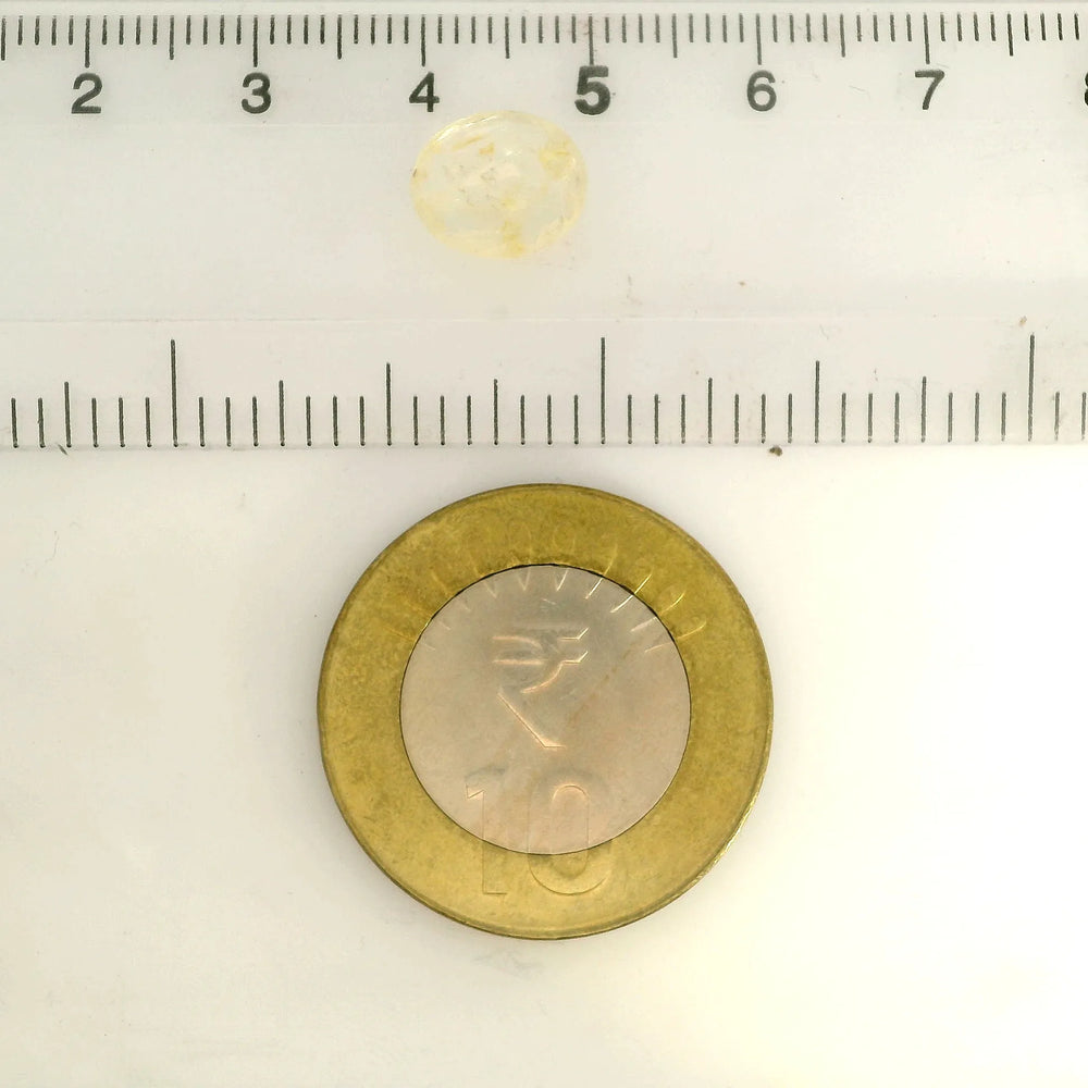 IGITL_217662_SCALE.webp