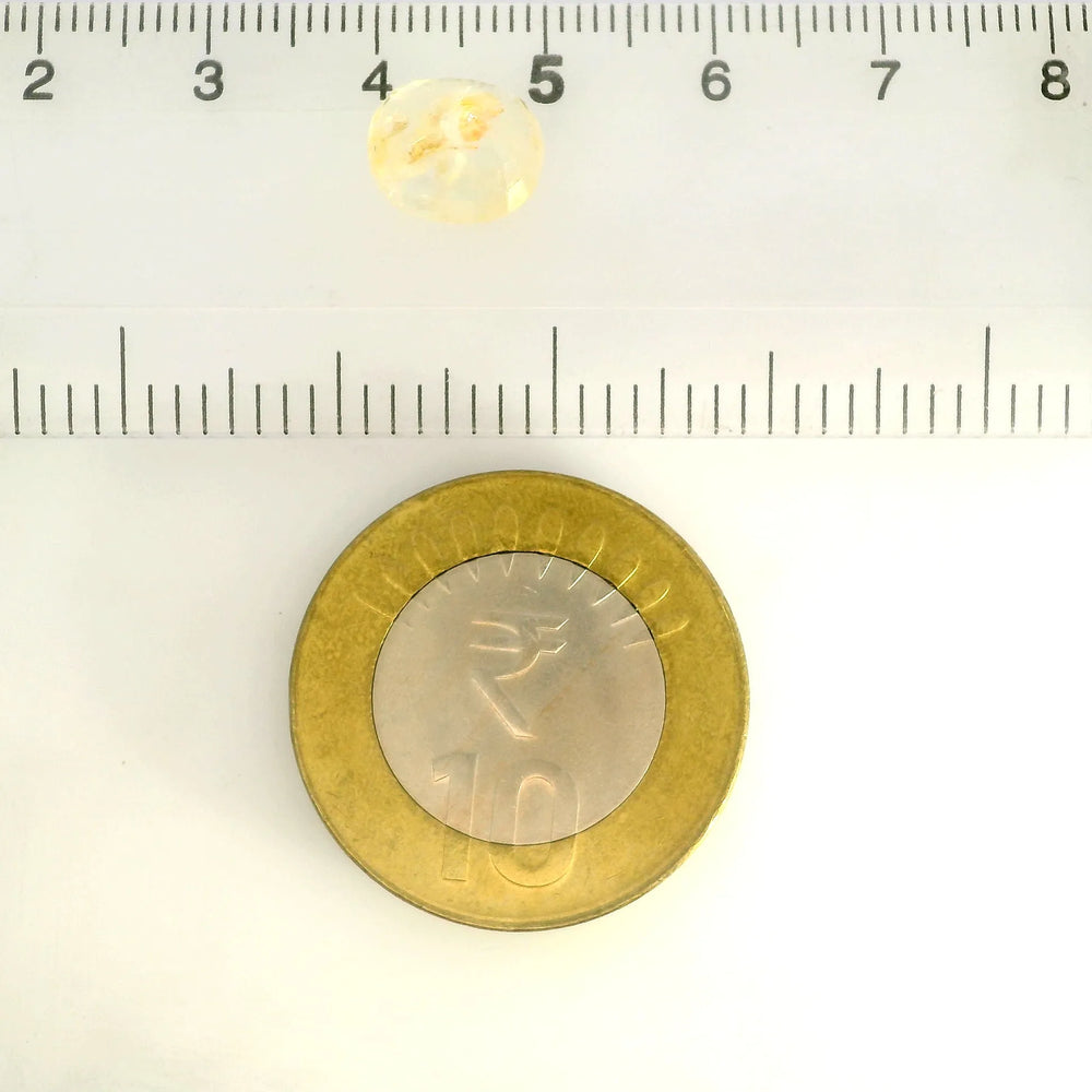 IGITL_217663_SCALE.webp