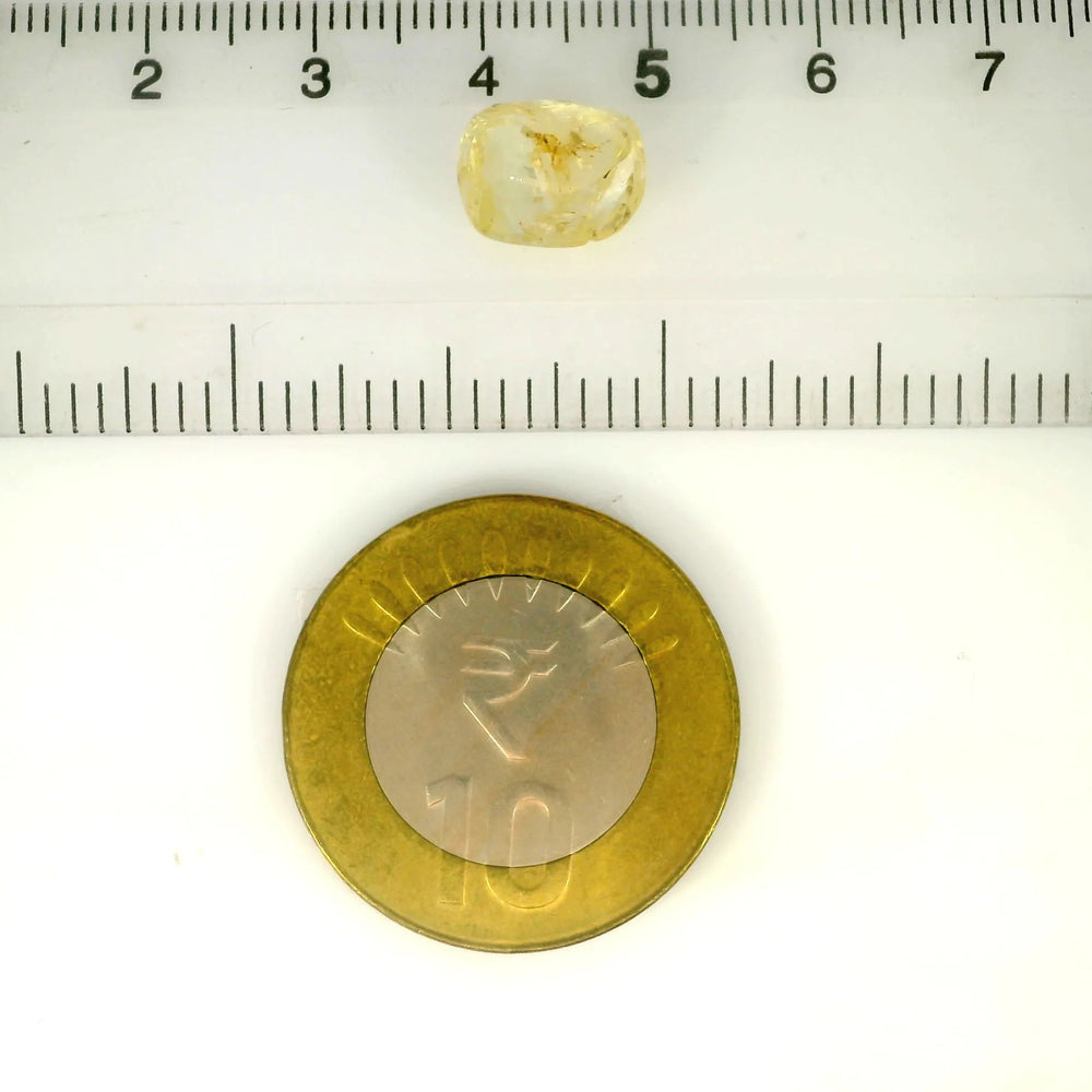 IGITL_217667_SCALE.webp