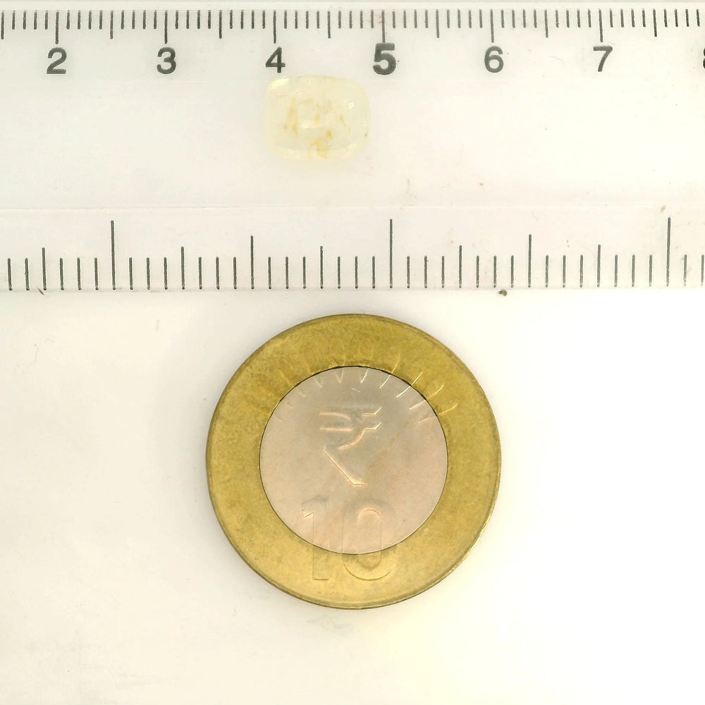 IGITL_217672_SCALE.webp