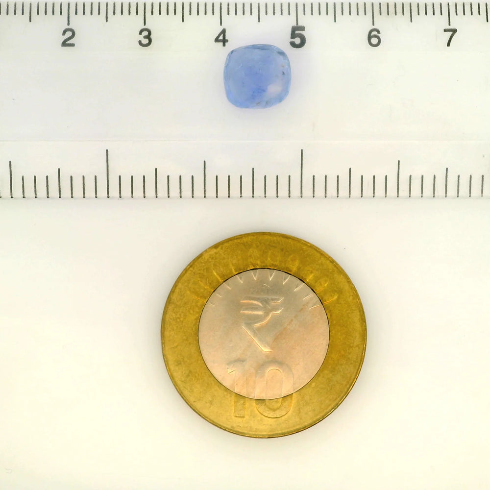 IGITL_217693_SCALE.webp