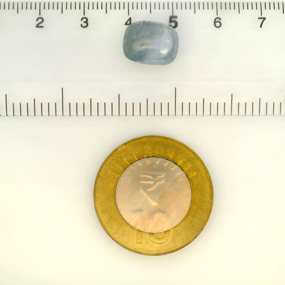 IGITL_217695_SCALE.webp