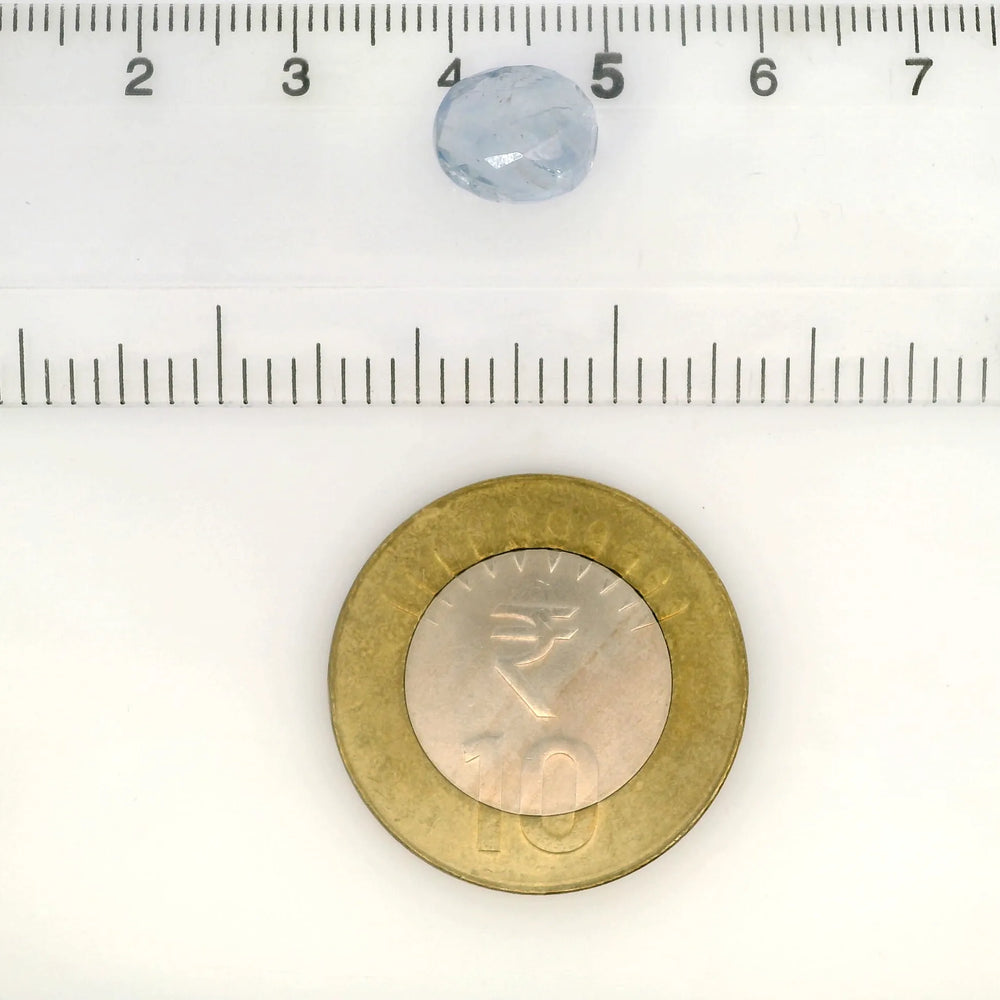 IGITL_217697_SCALE.webp