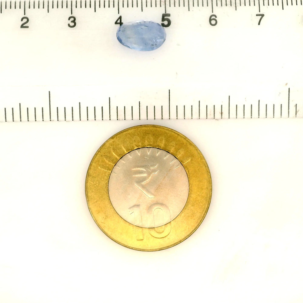 IGITL_217706_SCALE.webp