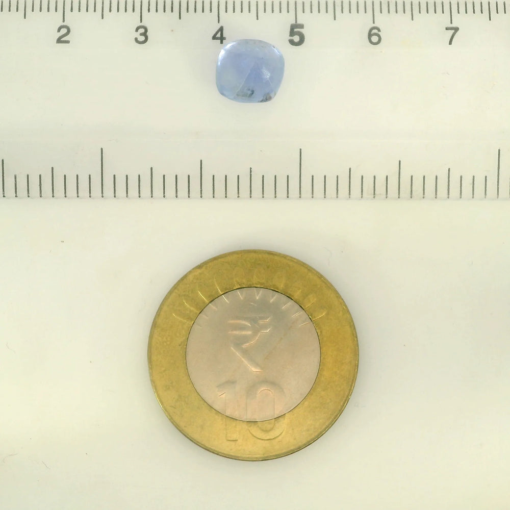 IGITL_217713_SCALE.webp