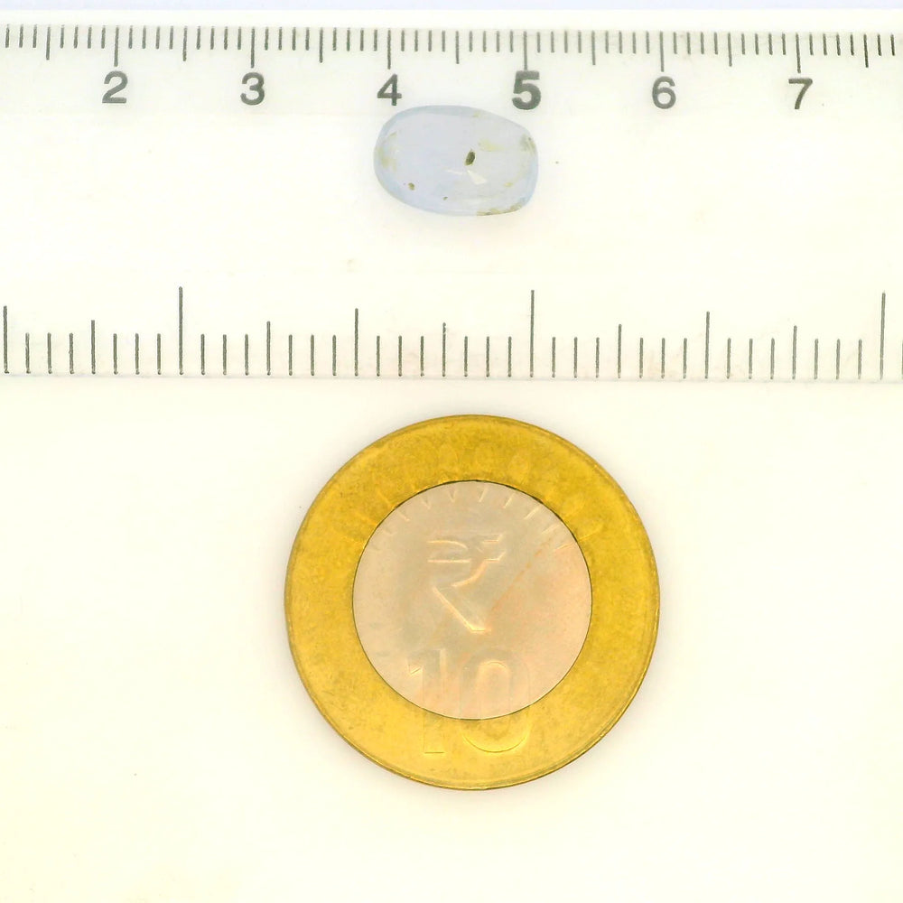 IGITL_217722_SCALE.webp