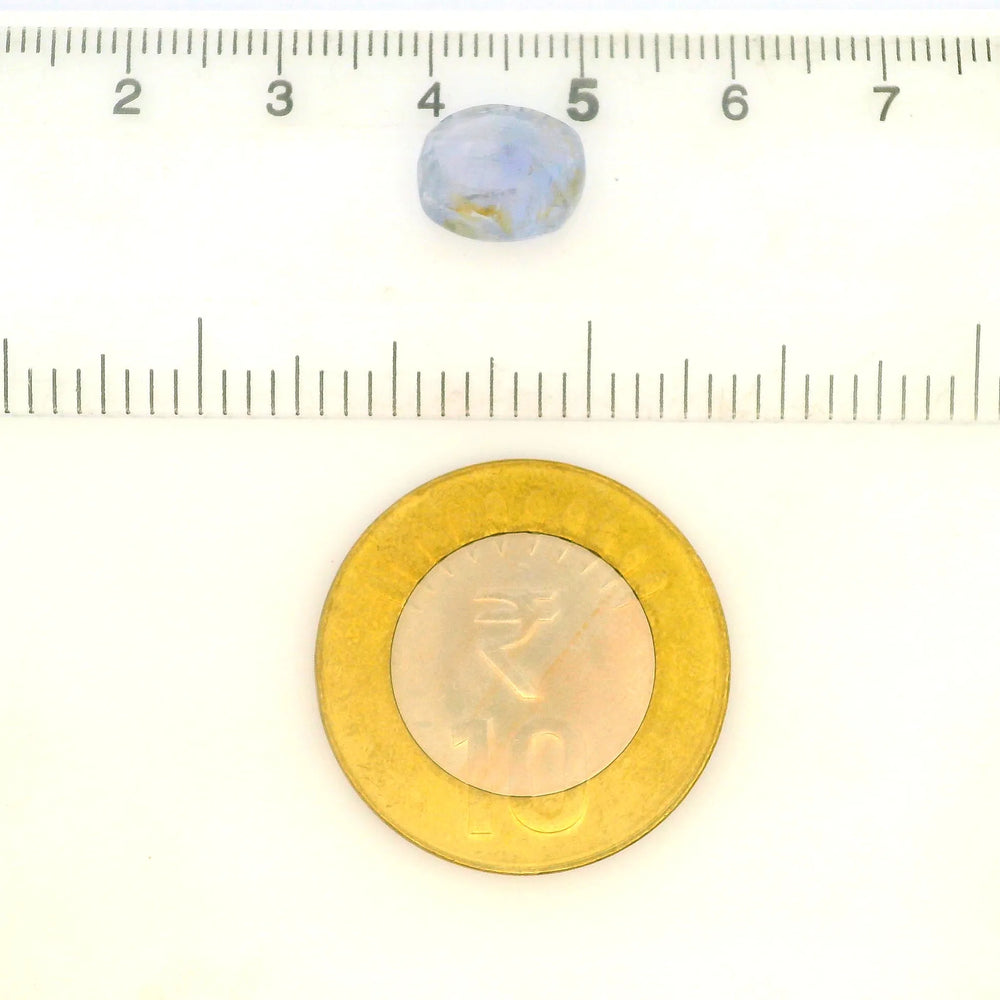 IGITL_217723_SCALE.webp