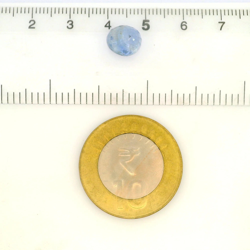 IGITL_217724_SCALE.webp