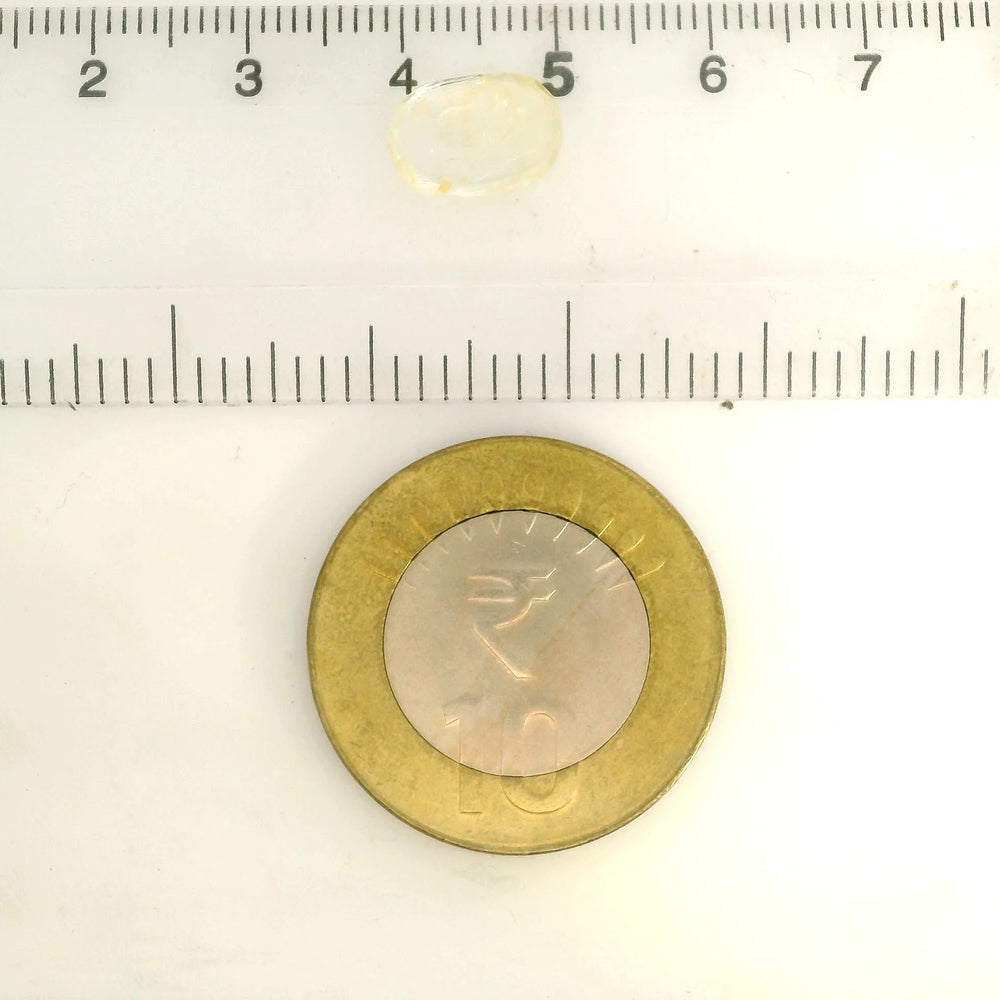 IGITL_217749_SCALE.webp