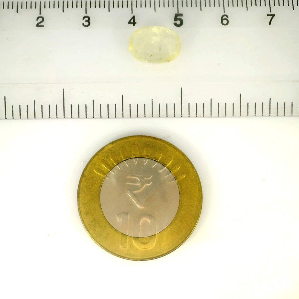 IGITL_217752_SCALE.webp
