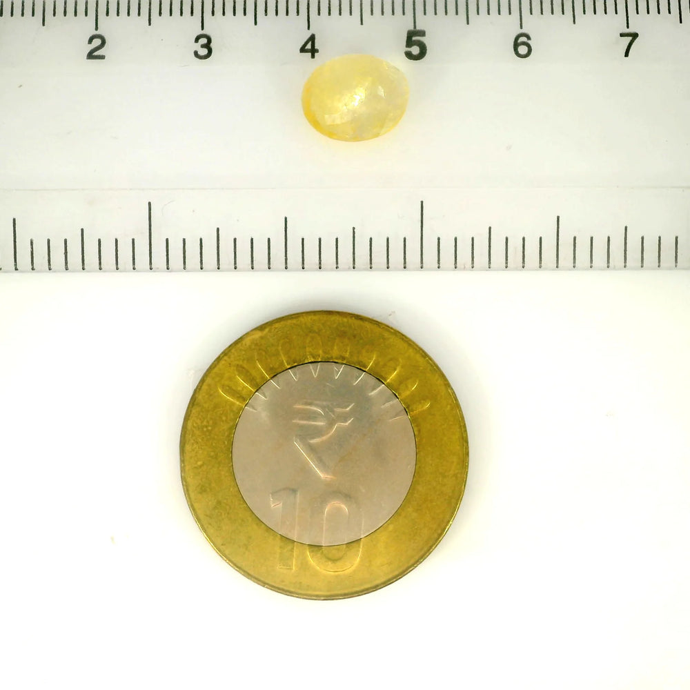 IGITL_217759_SCALE.webp