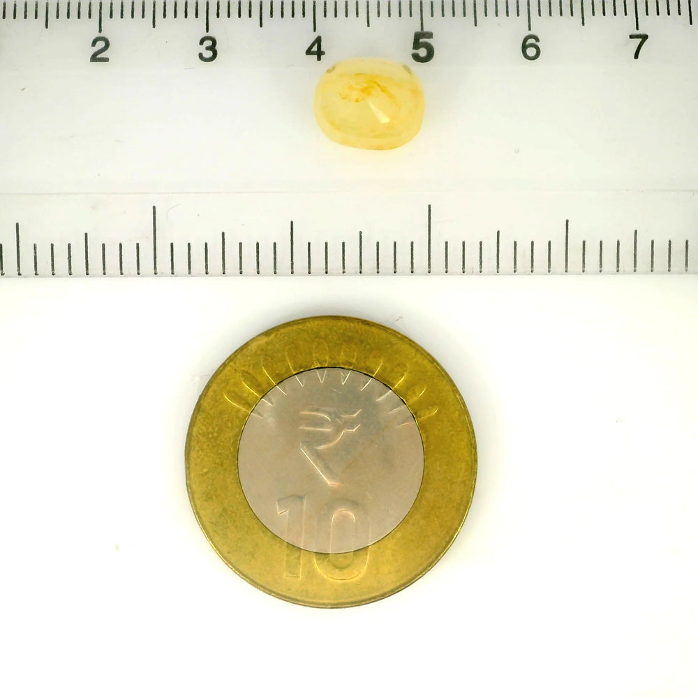 IGITL_217764_SCALE.webp