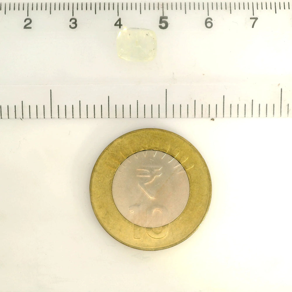 IGITL_217768_SCALE.webp