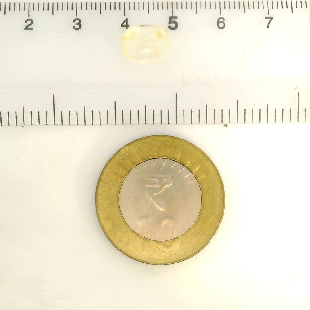 IGITL_217773_SCALE.webp