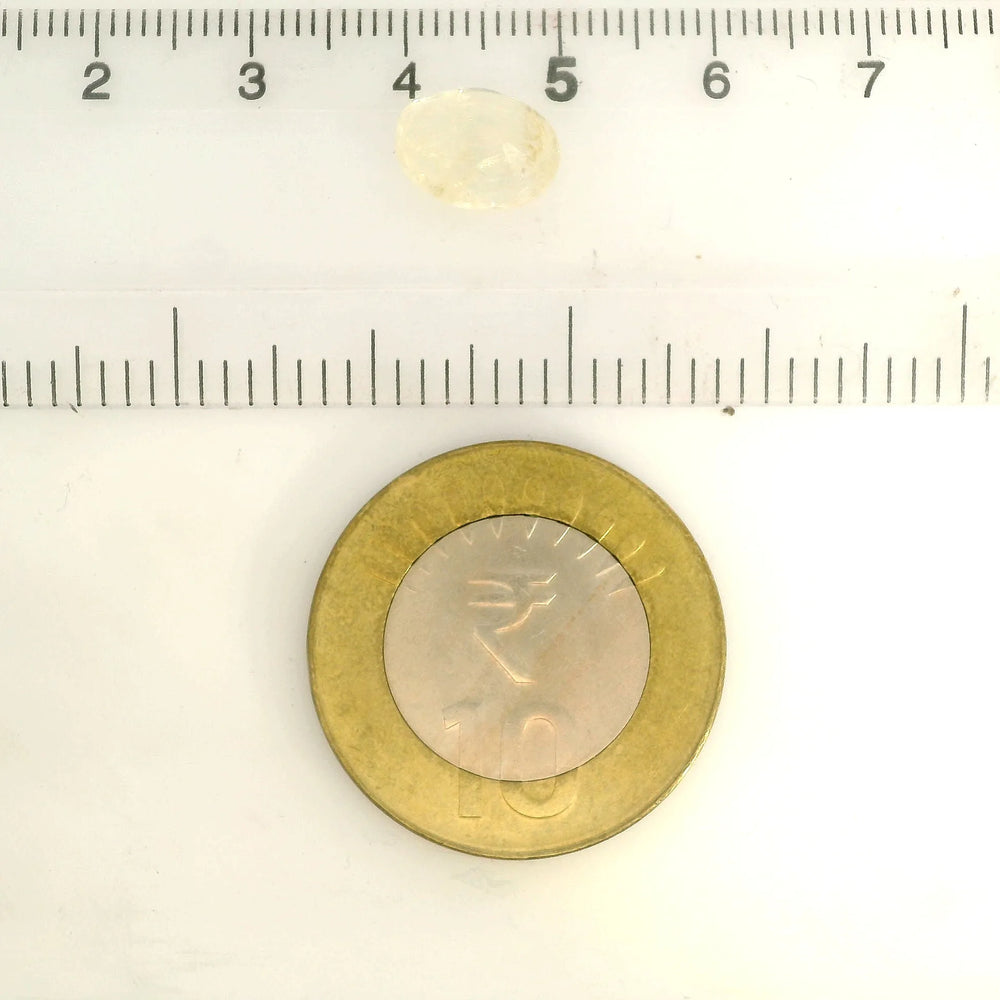 IGITL_217775_SCALE.webp