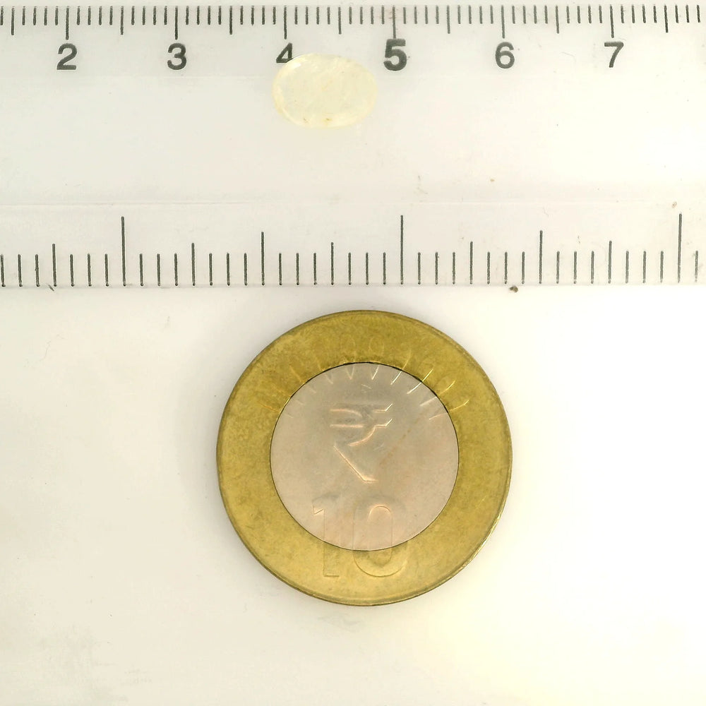 IGITL_217782_SCALE.webp
