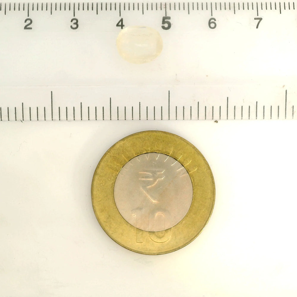 IGITL_217785_SCALE.webp