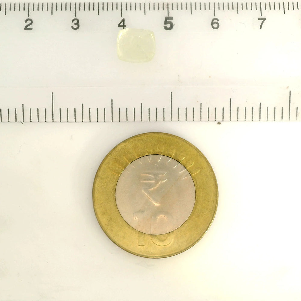 IGITL_217788_SCALE.webp