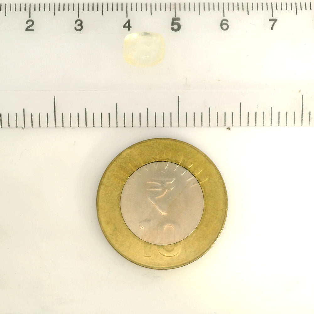 IGITL_217789_SCALE.webp