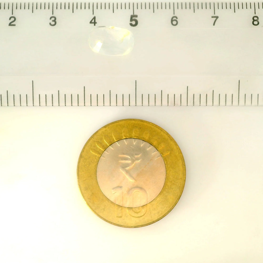 IGITL_217797_SCALE.webp