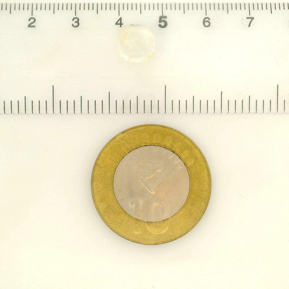 IGITL_217820_SCALE.webp