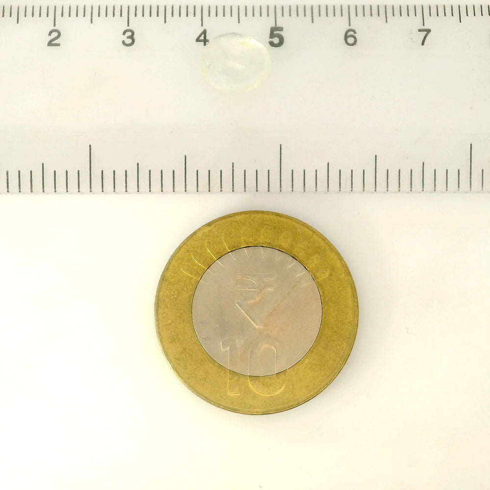 IGITL_217833_SCALE.webp