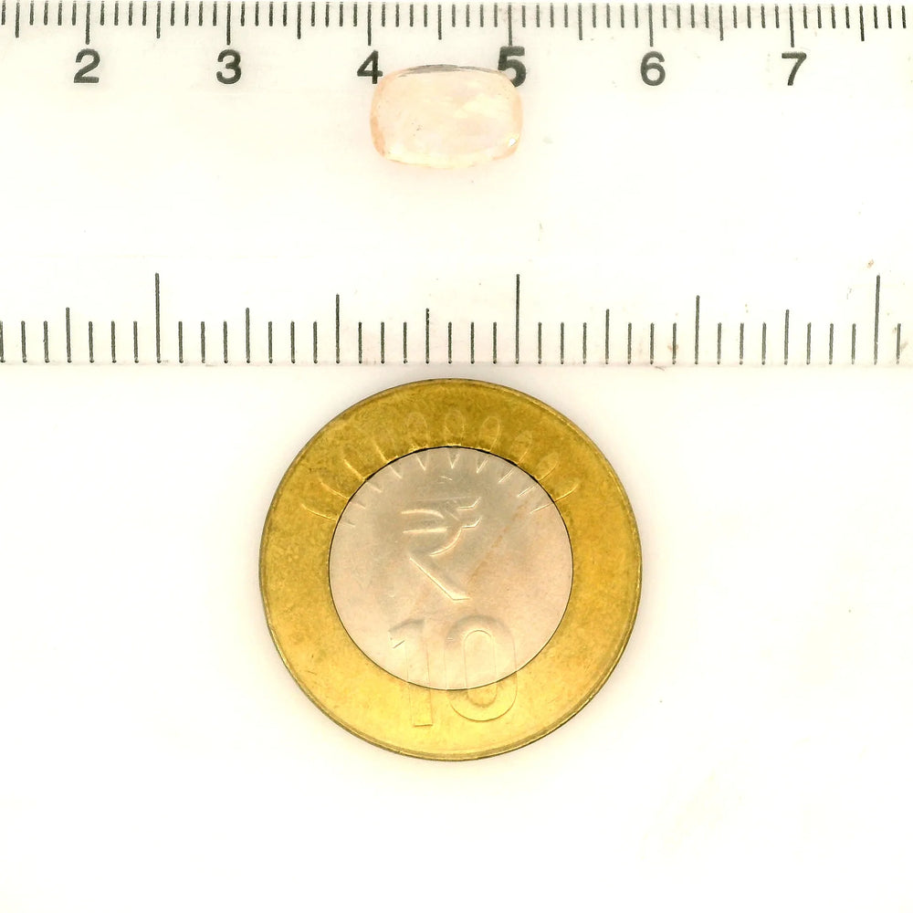 IGITL_217845_SCALE.webp