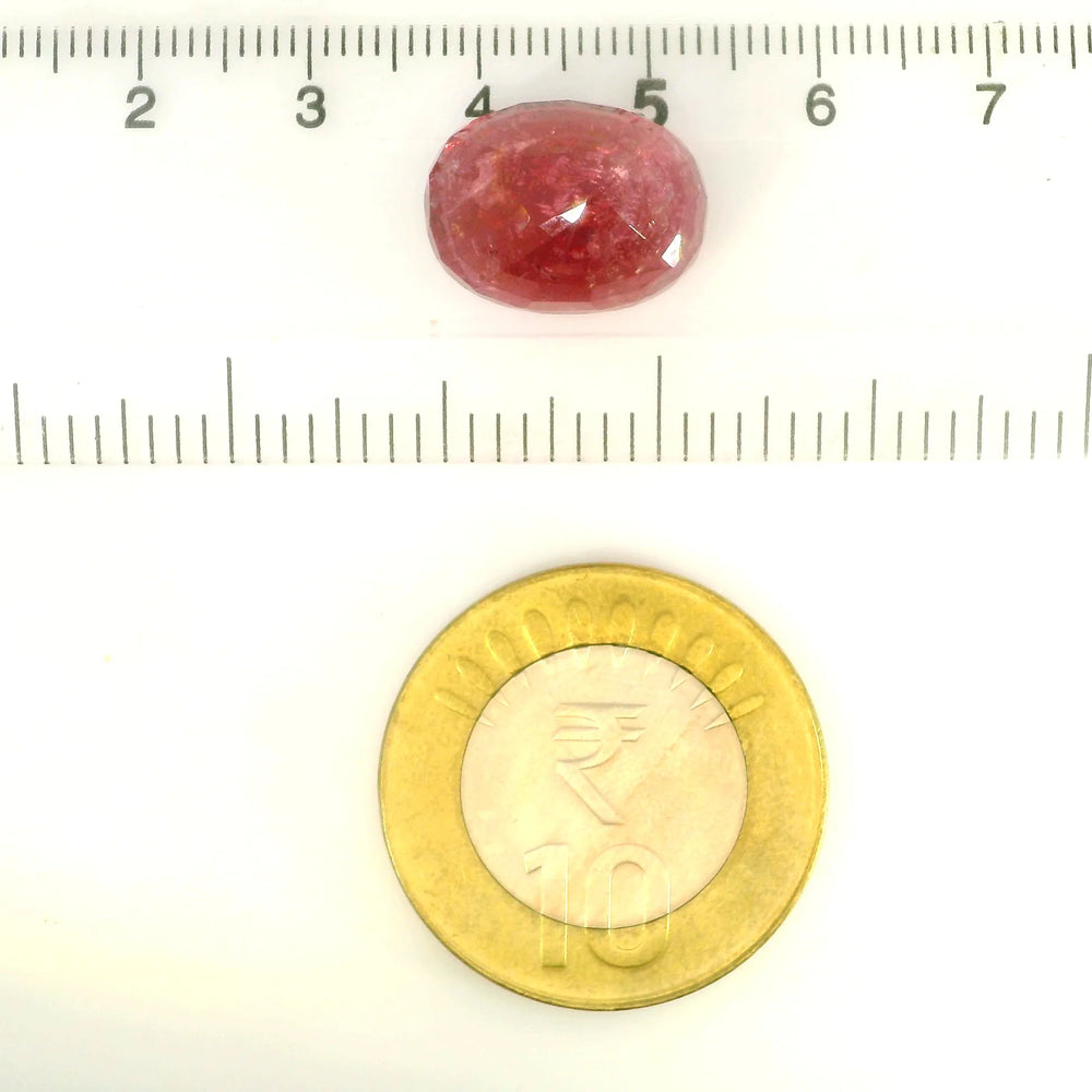 IGITL_OA172263_SCALE.webp