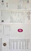IGI_766652908_CERTIFICATE.webp