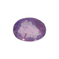 IGI_766652908_FRONT.png